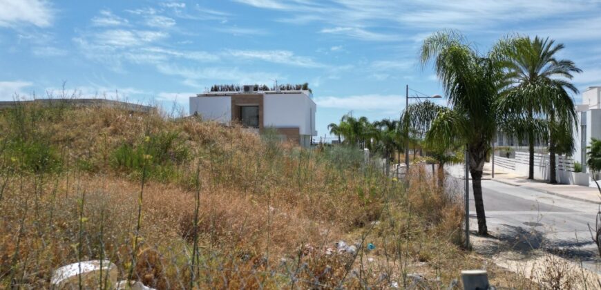 Cancelada, Estepona Project Plot