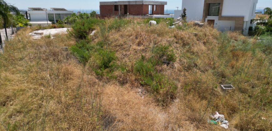 Cancelada, Estepona Project Plot