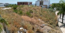 Cancelada, Estepona Project Plot