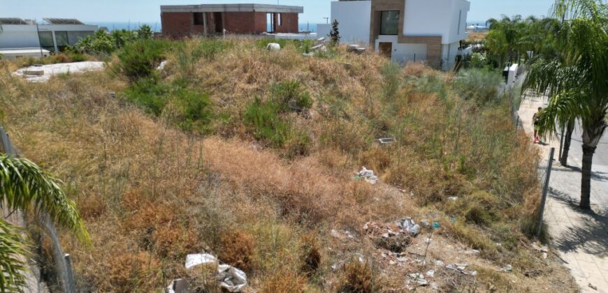 Cancelada, Estepona Project Plot