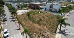 Cancelada, Estepona Project Plot