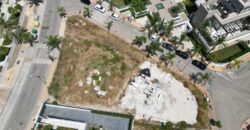 Cancelada, Estepona Project Plot