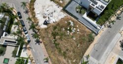 Cancelada, Estepona Project Plot