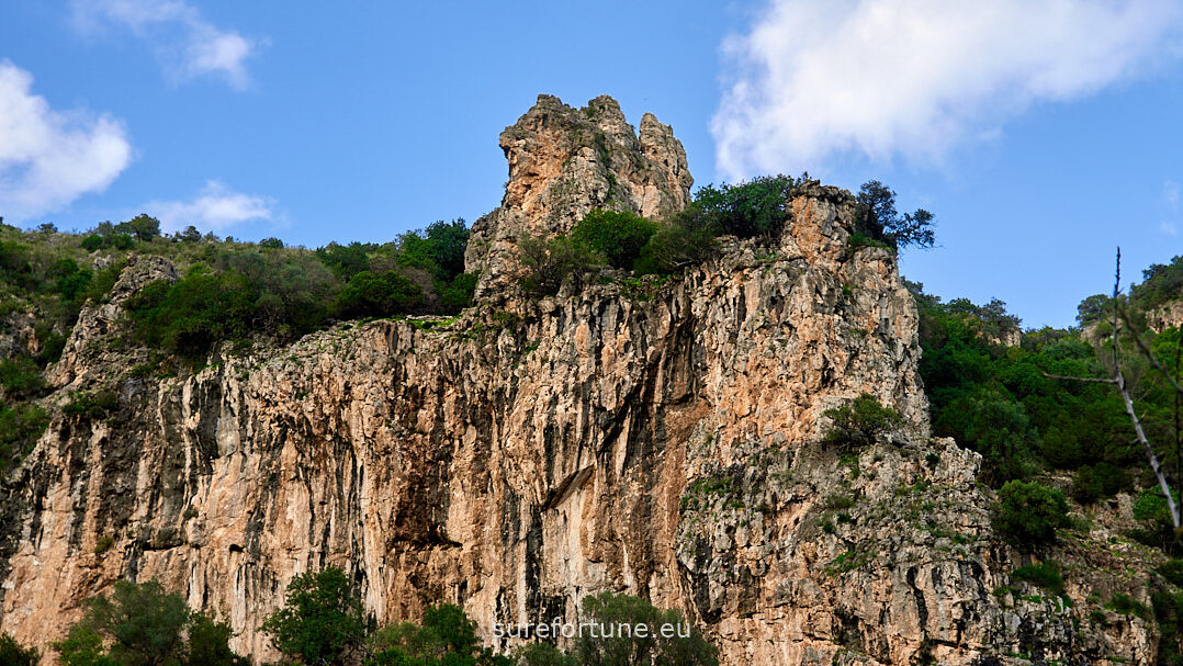 Sure Fortune Real Estate