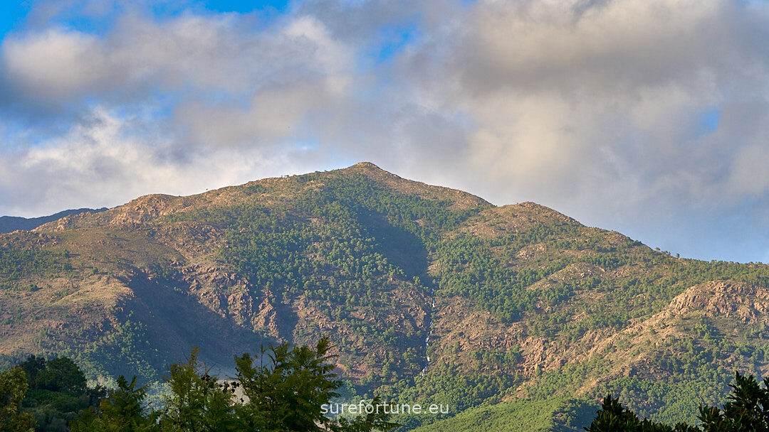 Sure Fortune Real Estate