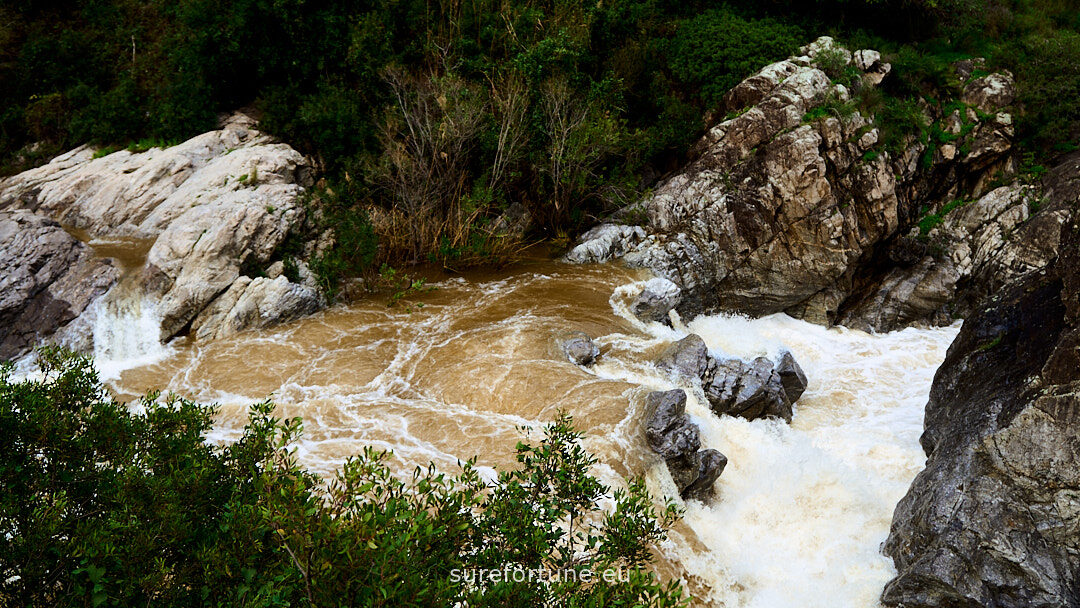 Sure Fortune Real Estate