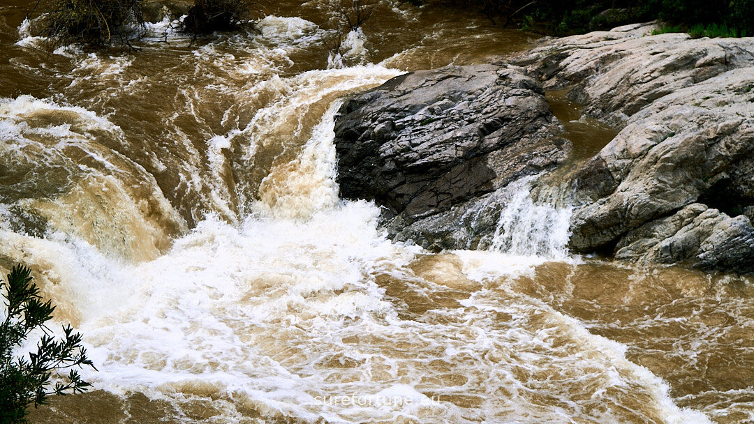 Sure Fortune Real Estate