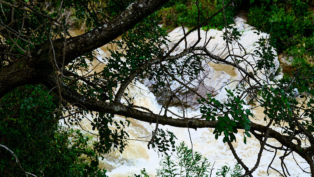 Sure Fortune Real Estate