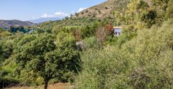 Puerto los Almendro, Benahavís, Plot 1.042
